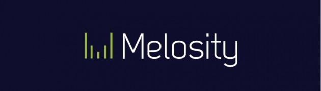 melosity_logo_b