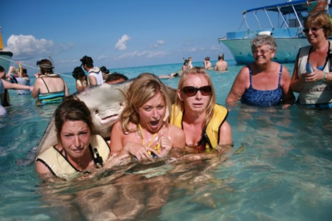 Stingray-Photobomb