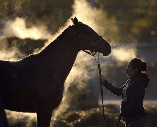 Kentucky Derby Horse Racing