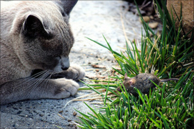 2328092397_d15ecfcd8c_n