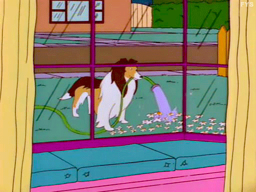 giphy (10)