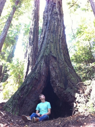 This Redwood looks like it has a vagina. I was reborn.