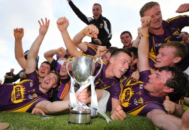 Wexford players celebrate with the cup