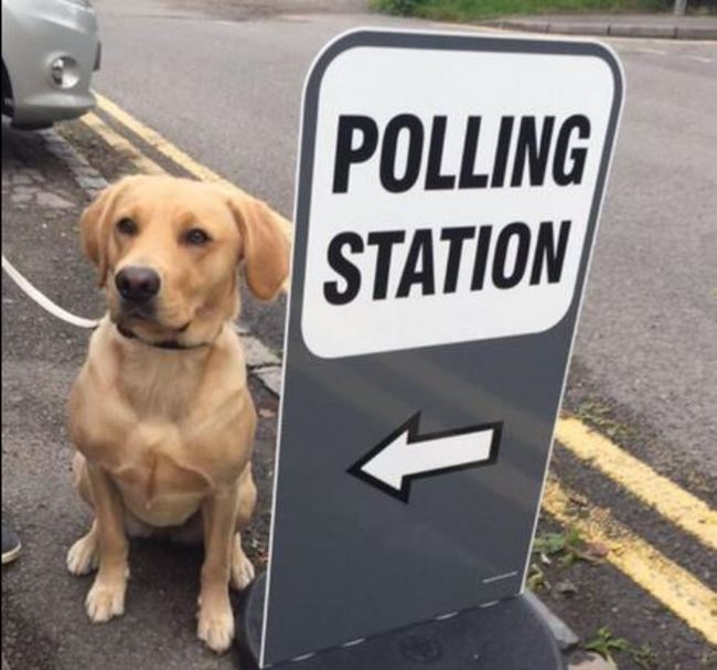 polling station