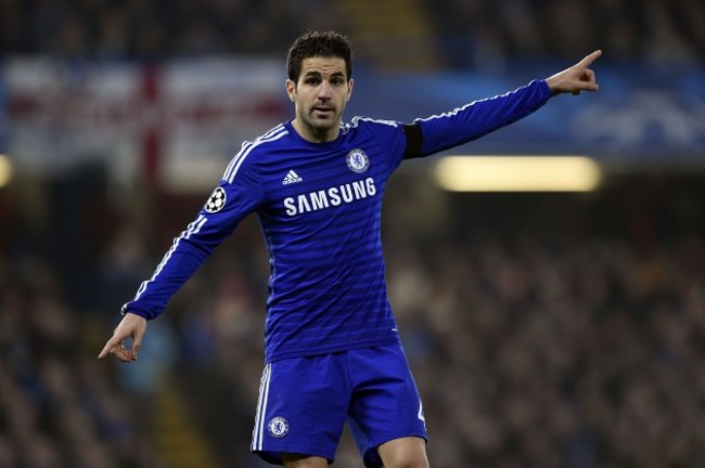 Soccer - Cesc Fabregas Filer