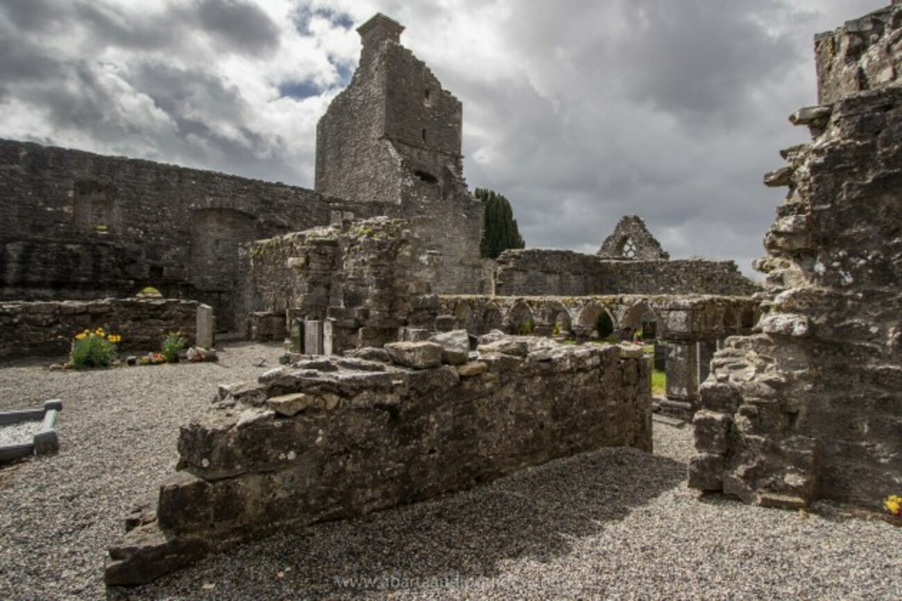 site of Friary — Coolgreany Demesne
