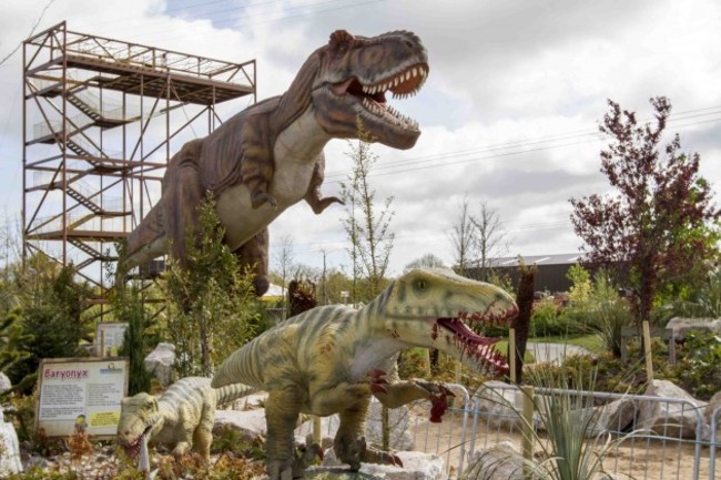 Dinosaurs may be extinct b