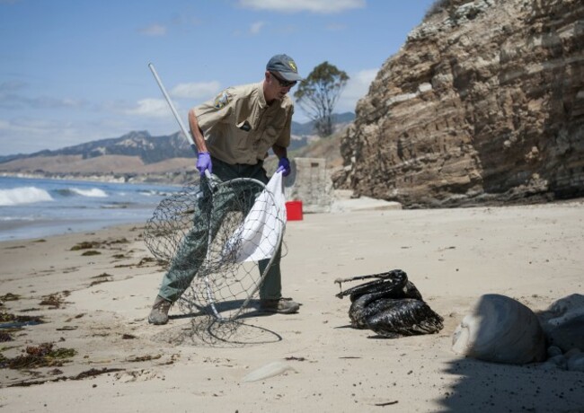California Oil Spill