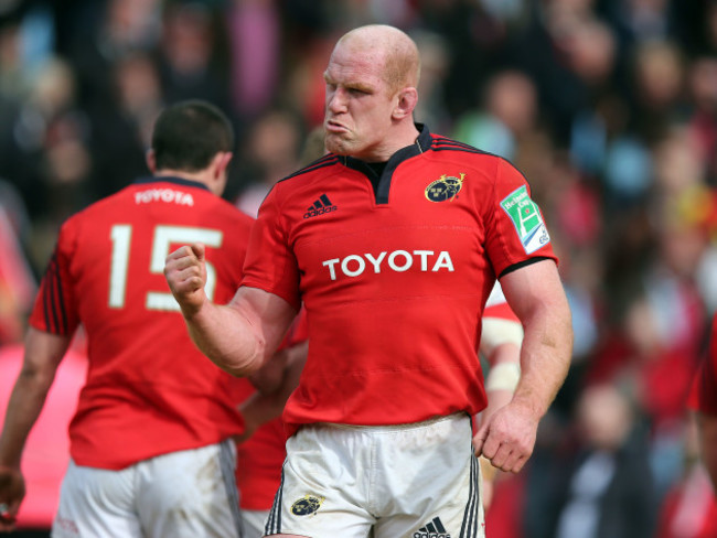 Paul O'Connell celebrates