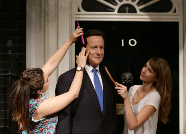 David Cameron wax figure