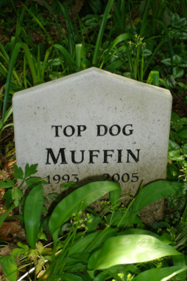 Pet Cemetery