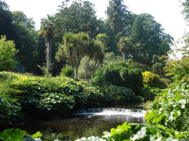 Mount Usher Gardens, Wicklow, Ireland