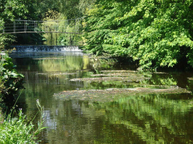 Mount Usher Gardens, Wicklow, Ireland