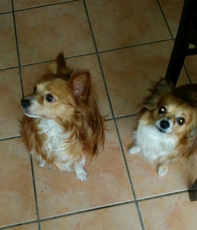 20150529_142745-1 (1)