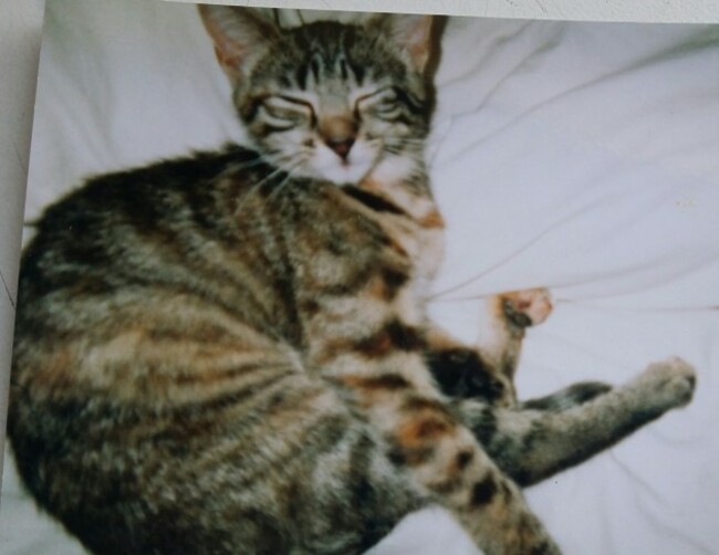 20150529_144349-1 (1)