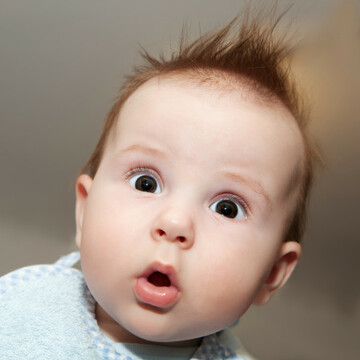 shutterstock_87949297