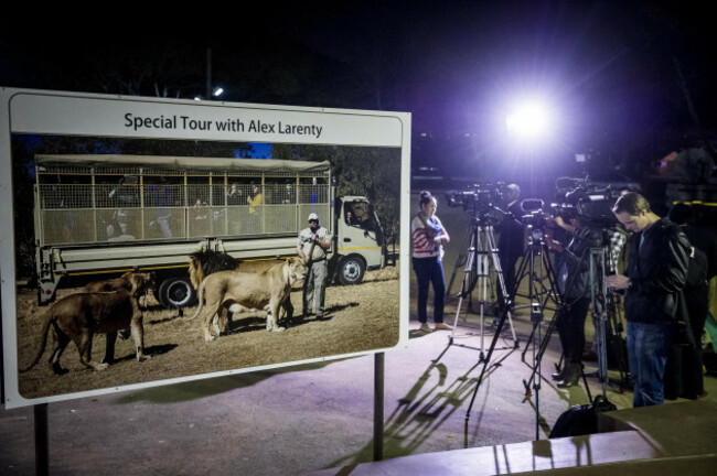 South Africa Lion Attack