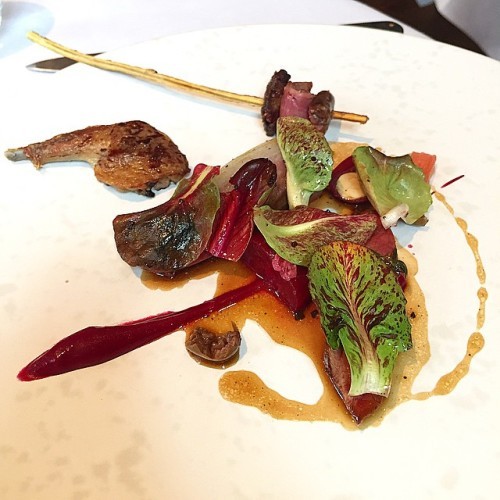 Aged pigeon, beetroot, olives, red leaves and pickled wild rose at The Ledbury
