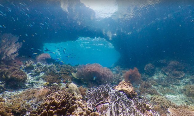 raja-ampat-near-indonesia-has-the-highest-level-of-marine-biodiversity-in-the-world-with-600-species-of-coral-and-more-than-1300-species-of-coral-reef-fish