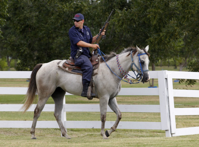 Prison Horses