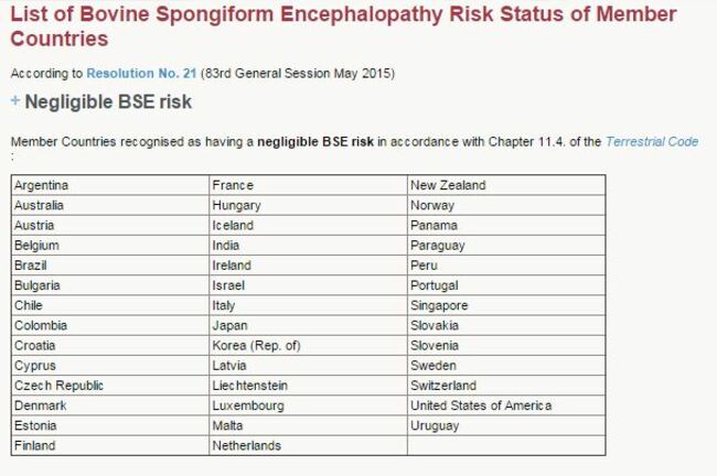 bse risk