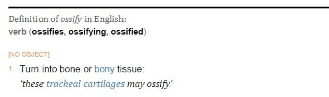 ossify