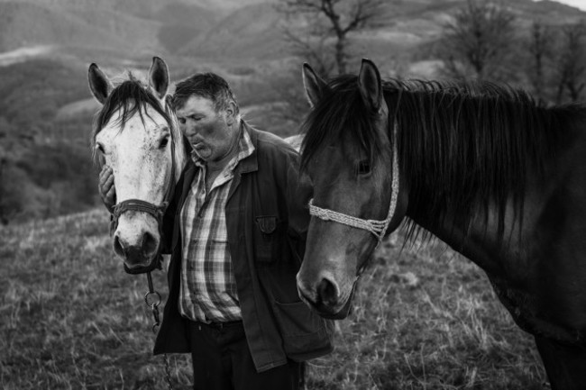 Romanian sheppard calms his horses