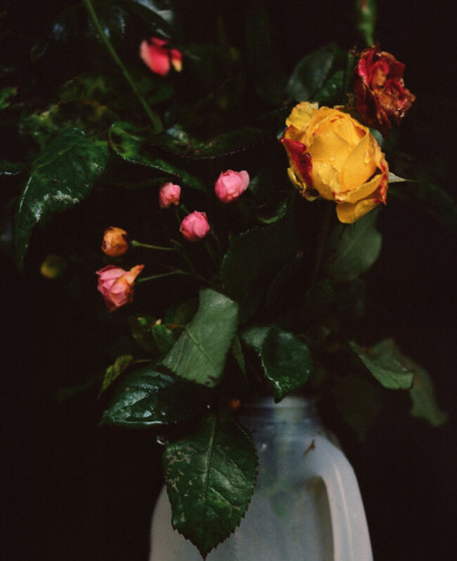 mount-melleray_waterford3