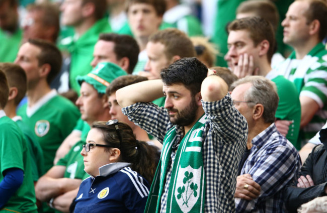 Ireland supporters look on