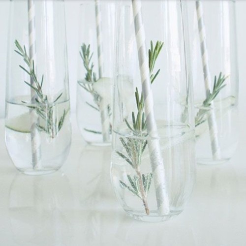 Such a sophisticated cocktail Cucumber Rosemary Gin & Tonics Source: @minted #Cocktailbandits #repost #cheers #cocktails #cocktailmadness #cocktailsgalore #garnish #Bar #drinks #beverages #BanditBehavior #lushlife #craftcocktails #customcocktails #cocktailcommunity #cocktailculture #cocktailsdaily #dailycocktail #tagacocktail #ginandtonic #botanical #gin #gindrinks #ginnydrinks #cocktailcrush #cocktailcutie #cocktailsdaily #cocktailsdaily #repost #cocktailcrush #minted #pinterest minted.com #rosemary #cucumber