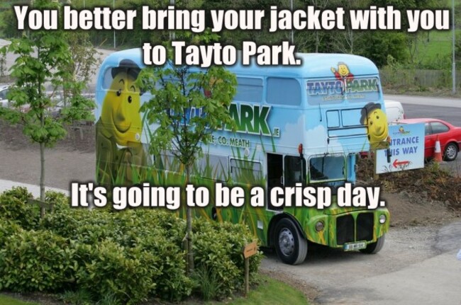 tayto