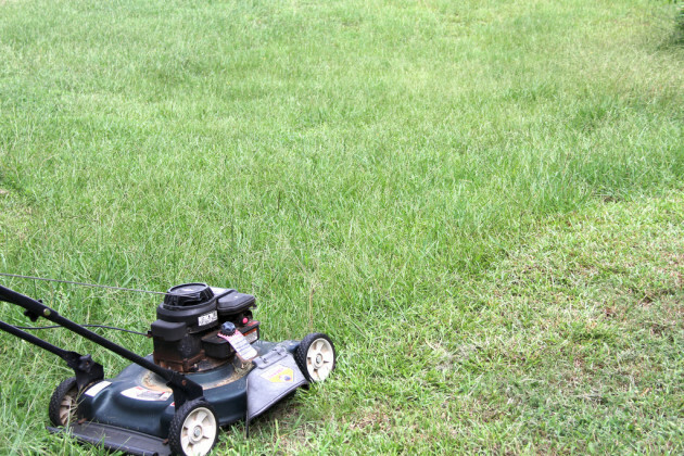 Mowing grass