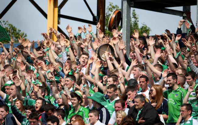 Limerick supporters in the terrace