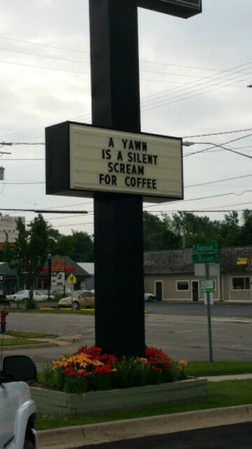 yawn