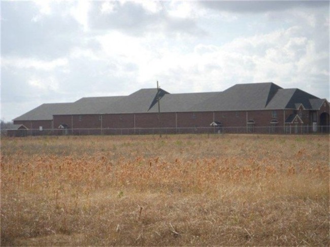 an-unobstructed-rear-view-of-the-mansion-really-shows-how-far-60000-square-feet-stretches