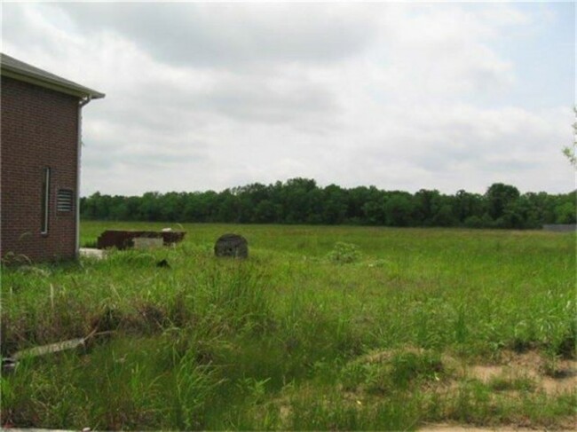 the-grass-is-growing-a-little-long-around-the-blighted-property