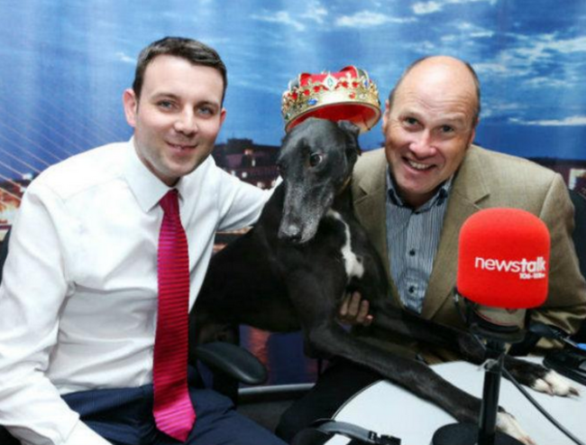 newstalk-dog1