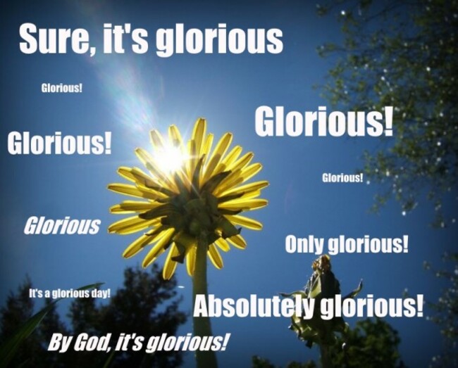 glorious-2-622x500