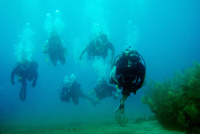Wounded warriors learn open water diving.