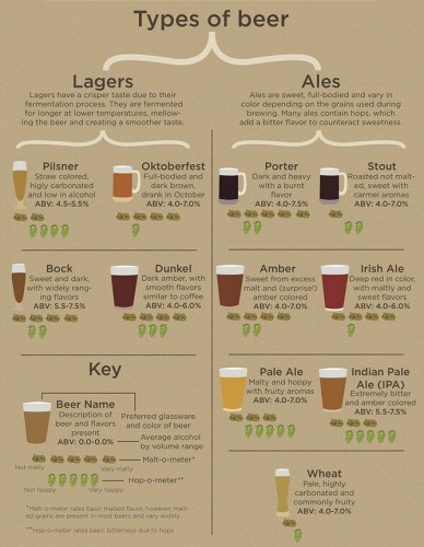 10 handy infographics that will help you become a drink expert