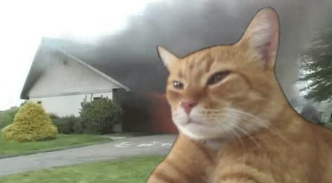 fire
