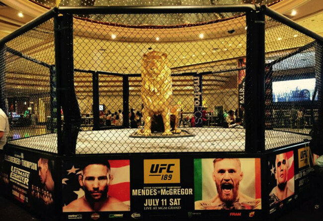 11101507_943503212378835_3435991243341994992_n