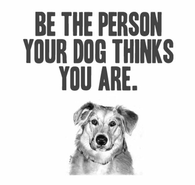 funny-quote-tshirt-dogs