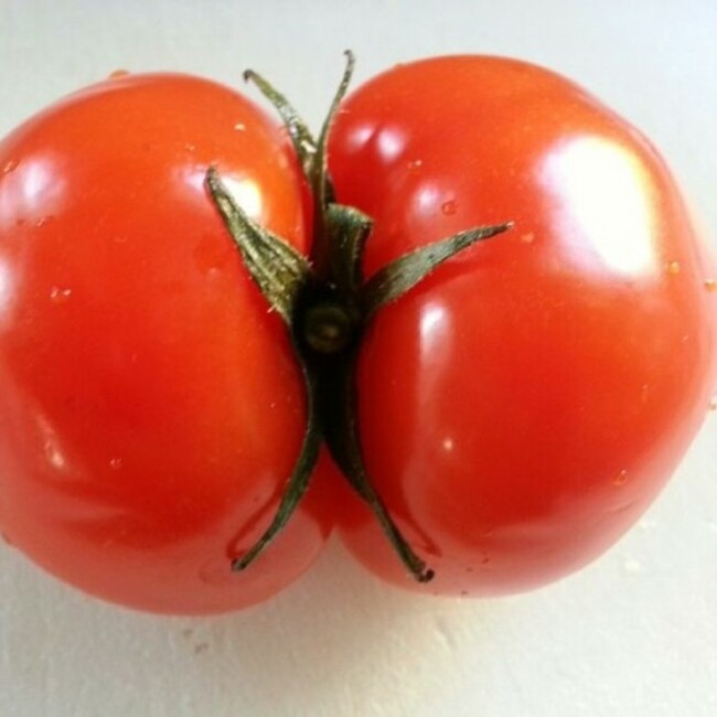 This tomatoe makes me uncomfortable. #random #fresh #tomatoe #weird #lookslikeabutt #instagood #bored