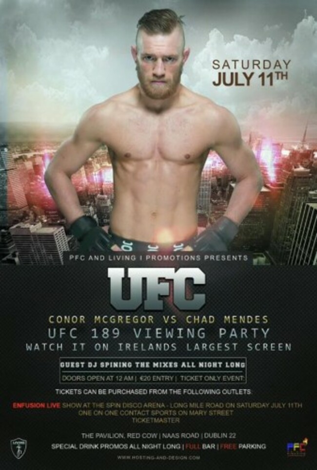 Screen Party Red Cow