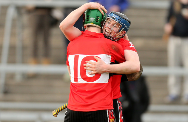 Seamus Harnedy and Conor Lehane celebrate after the game