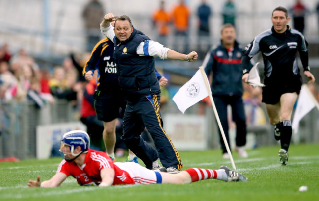 Davy Fitzgerald celebrates after his side wins a free