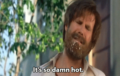 Will Ferrell it's so damn hot