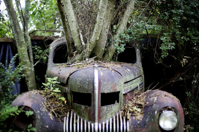 Classic Car Junkyard Photo Gallery