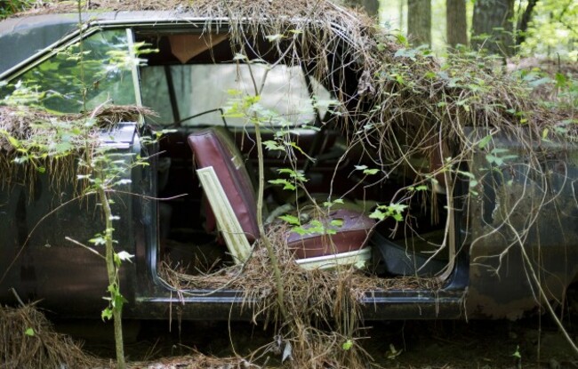 Classic Car Junkyard